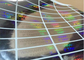 круглые стикеры Холограм 3Д/анти- поддельный стикер с идущими номерами